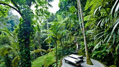 COMO Shambhala Estate
