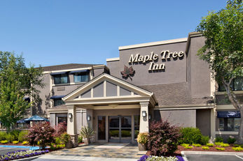 Maple Tree Inn