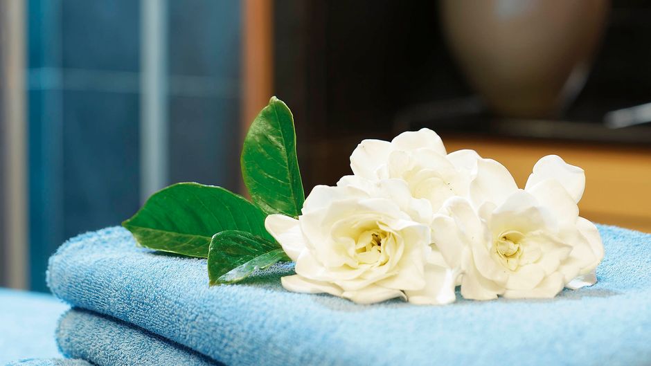 Grand Hotel Majestic Spa