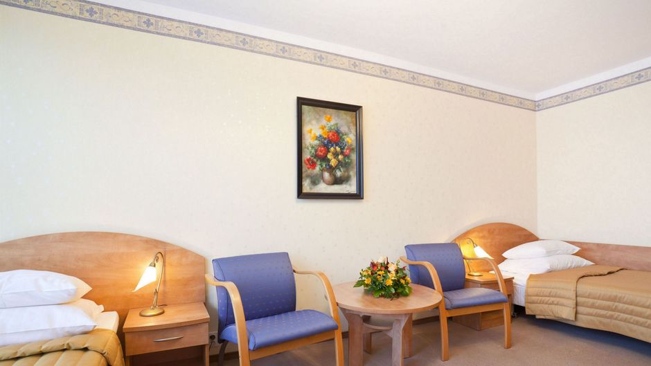 Ikar Hotel Room