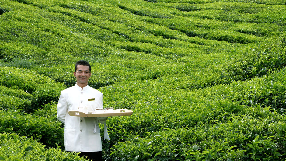 Cameron Highlands Resort Restaurant