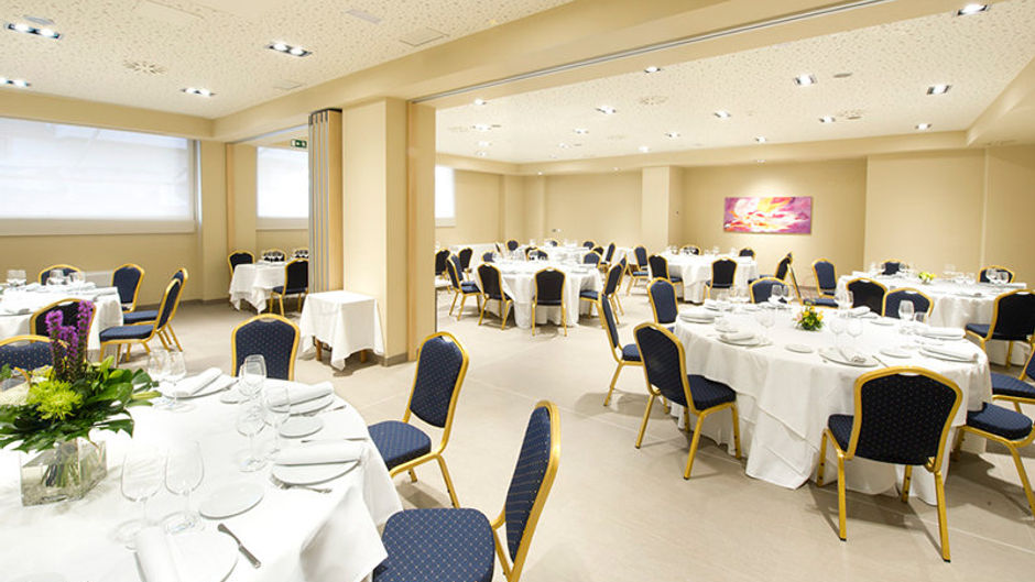 Sercotel Ciudad de Miranda Hotel Meeting