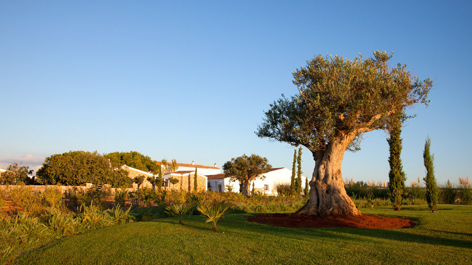 Torralbenc Menorca Exterior