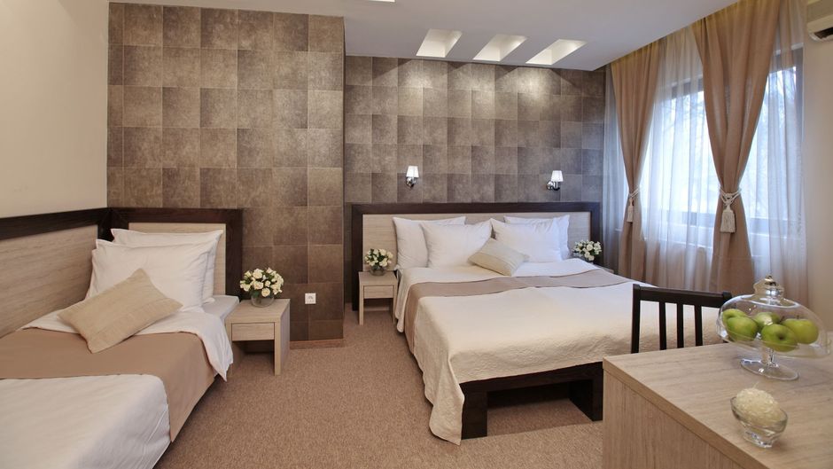 Vozarev Room