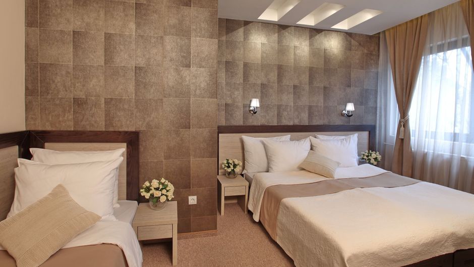 Vozarev Room