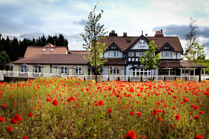 Red Lion Inn Todwick