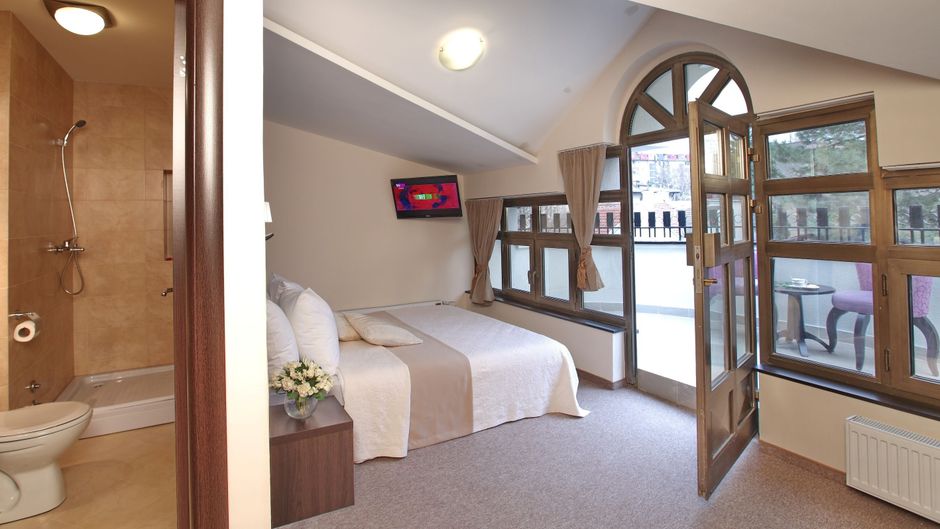 Vozarev Room