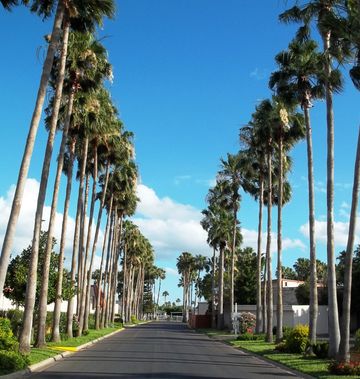 Victoria Palms Inn & Suites