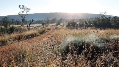 Zulu Camp at Shambala Game Reserve