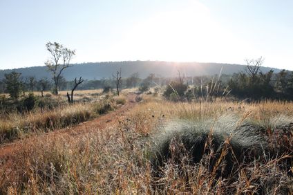 Zulu Camp at Shambala Game Reserve
