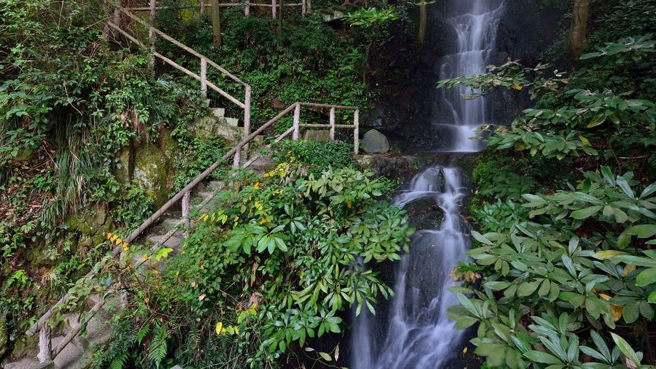 Millennium Resort Hangzhou Other