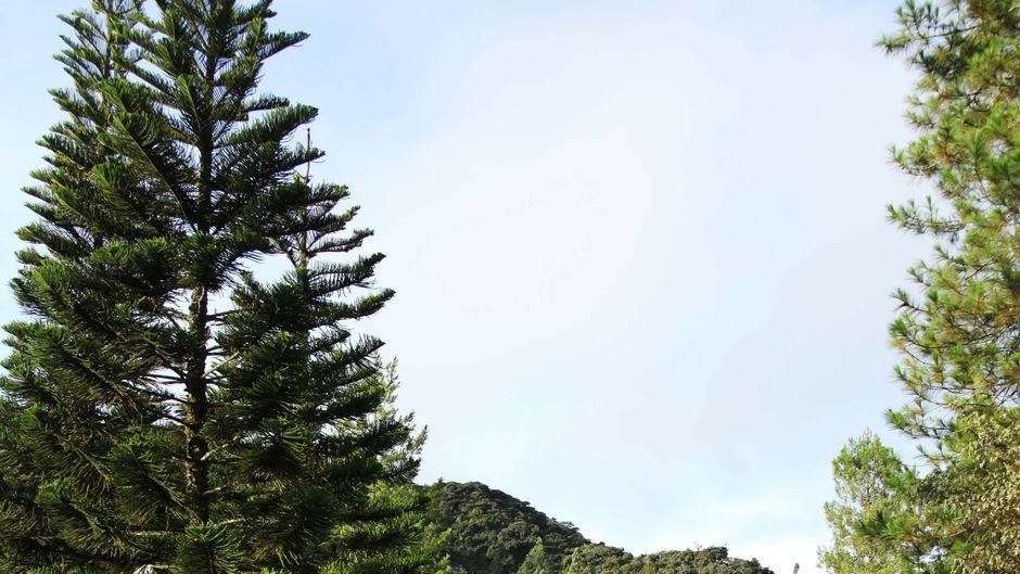 Copthorne Hotel Cameron Highlands Recreation