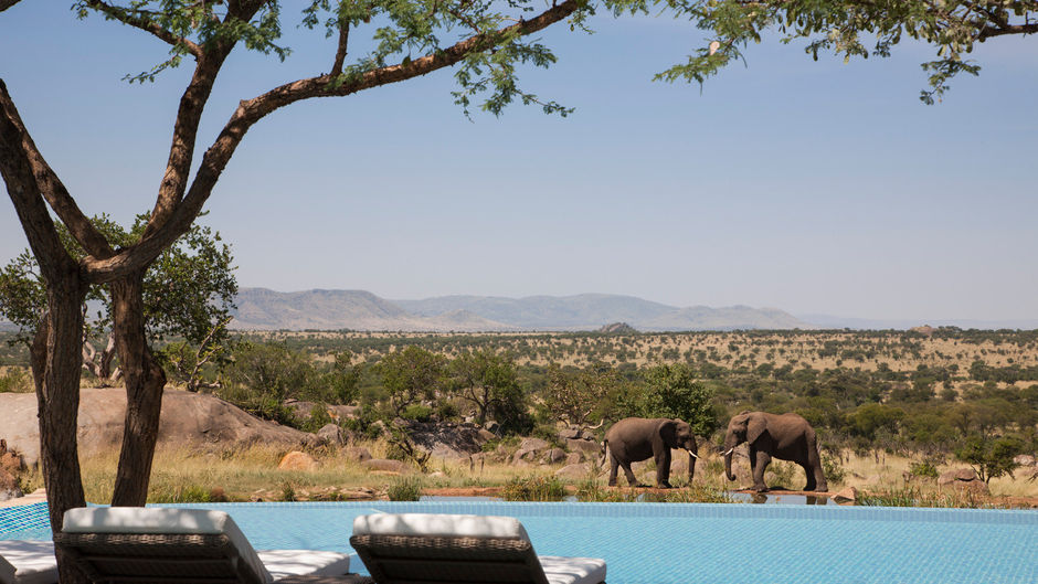 Four Seasons Safari Lodge Serengeti Pool