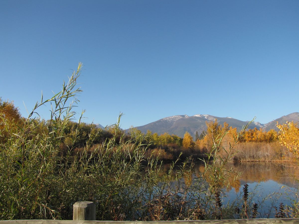 Bitterroot River Inn & Conference Ctr First Class Hamilton, MT Hotels