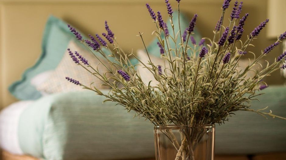 Bunratty Castle Hotel & Leisure Club, BW Room