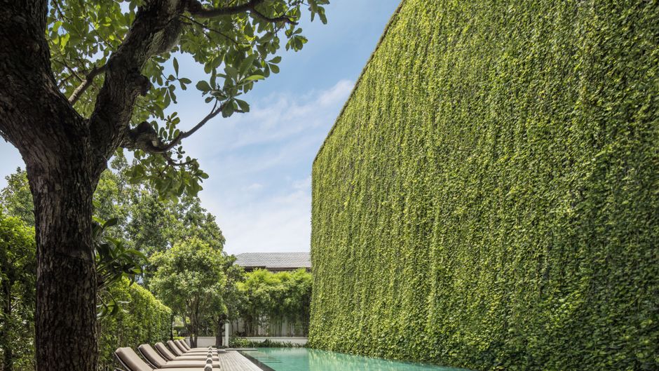 137 Pillars House Chiang Mai Pool