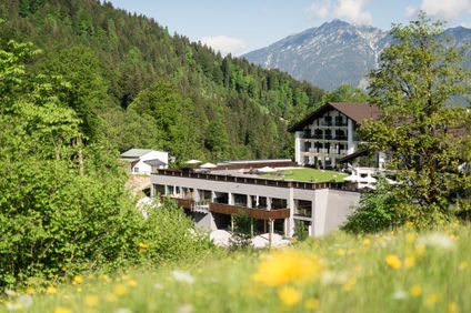 Das Graseck