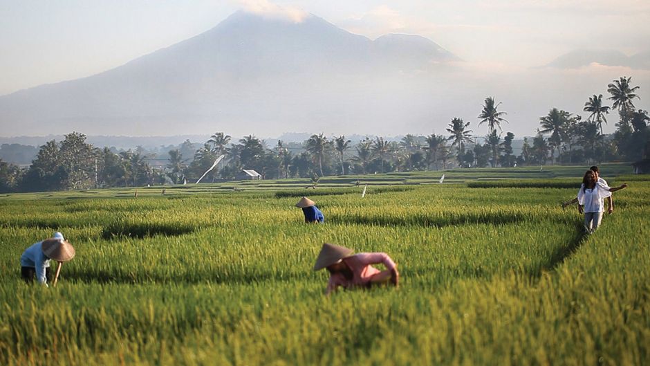 Soori Bali Other