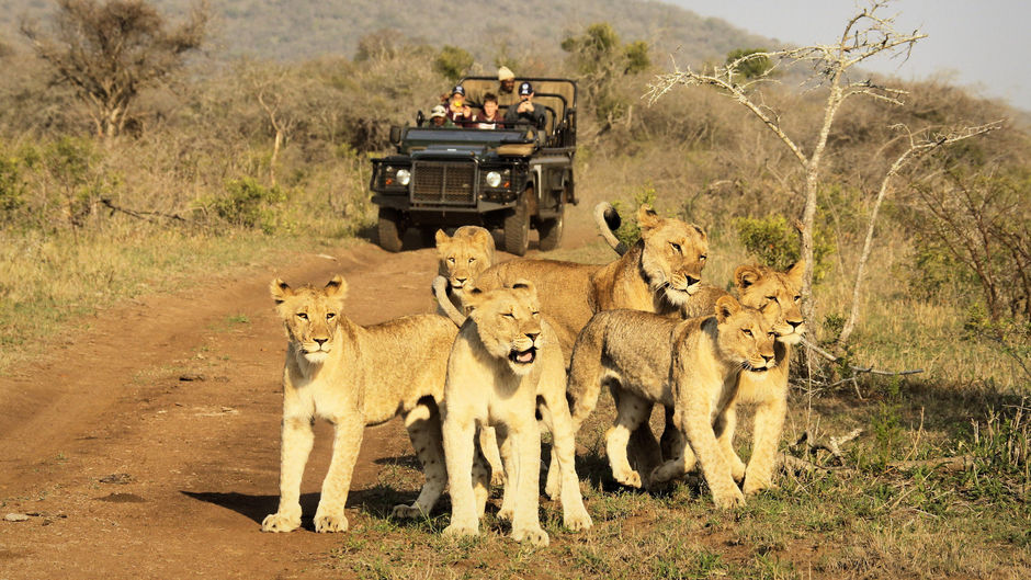 Thanda Private Game Reserve Other