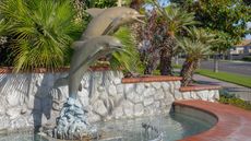 Dolphins Cove