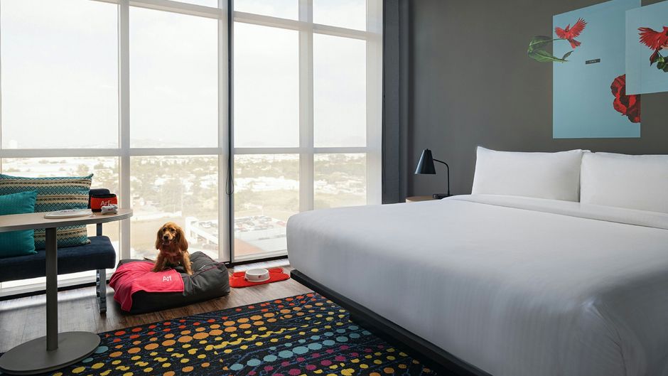 aloft Guadalajara Sur Suite