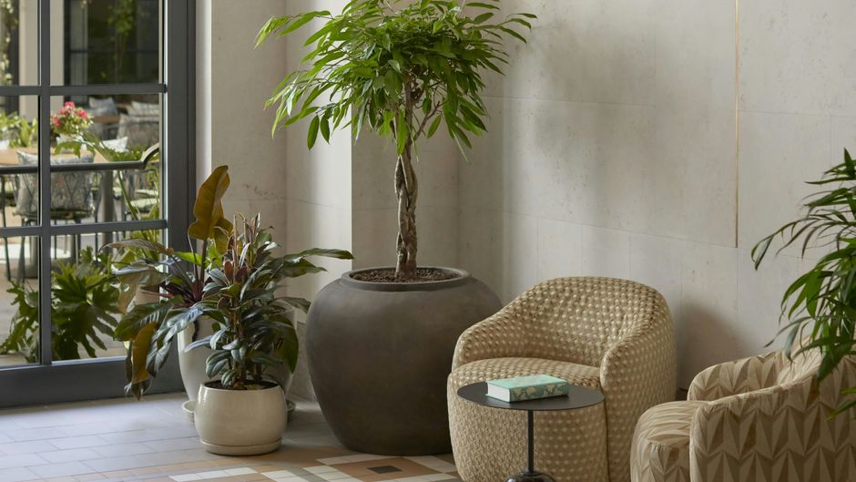 Stradom House, Autograph Collection Lobby