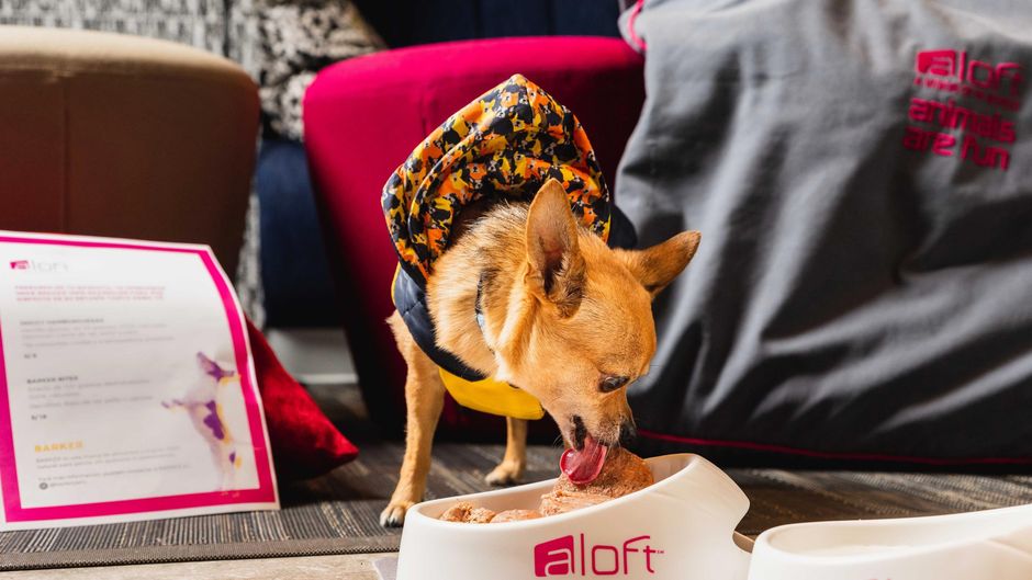 Aloft Lima Miraflores Other