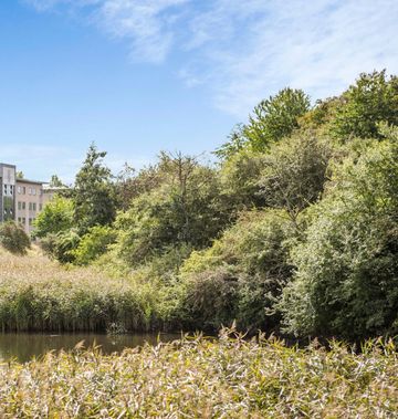 Four Points Flex by Sheraton Ballerup