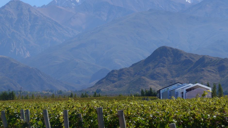 Casa de Uco Wine Resort Other