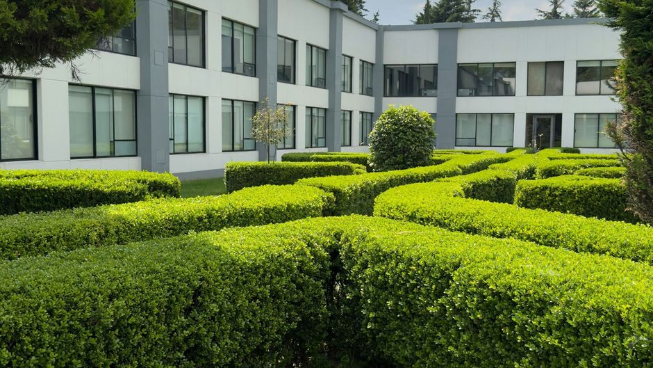 Courtyard Toluca Airport Other