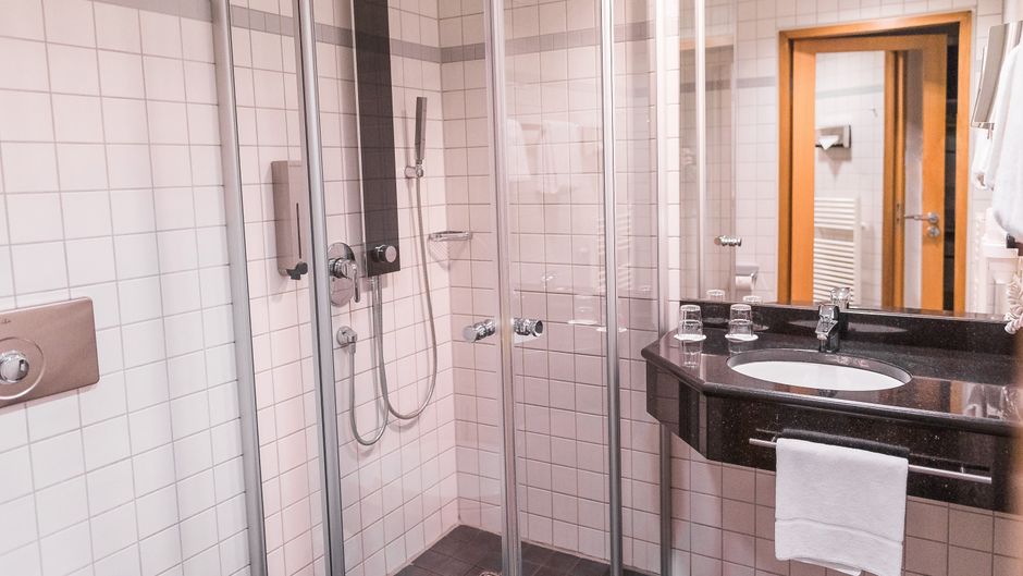 Plaza Inn Stuttgart-Ditzingen Room