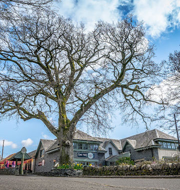 Oak Tree Inn
