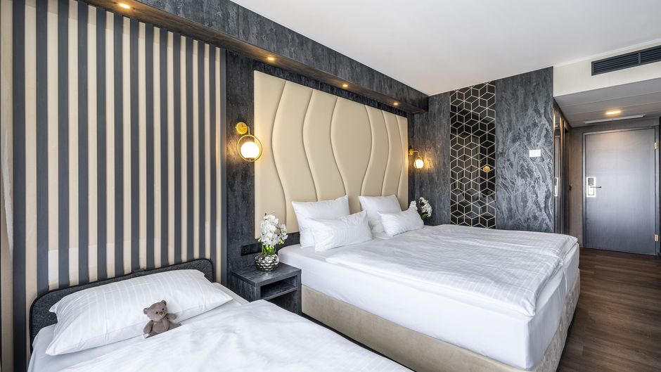 Plaza Hotel Bruchsal Room