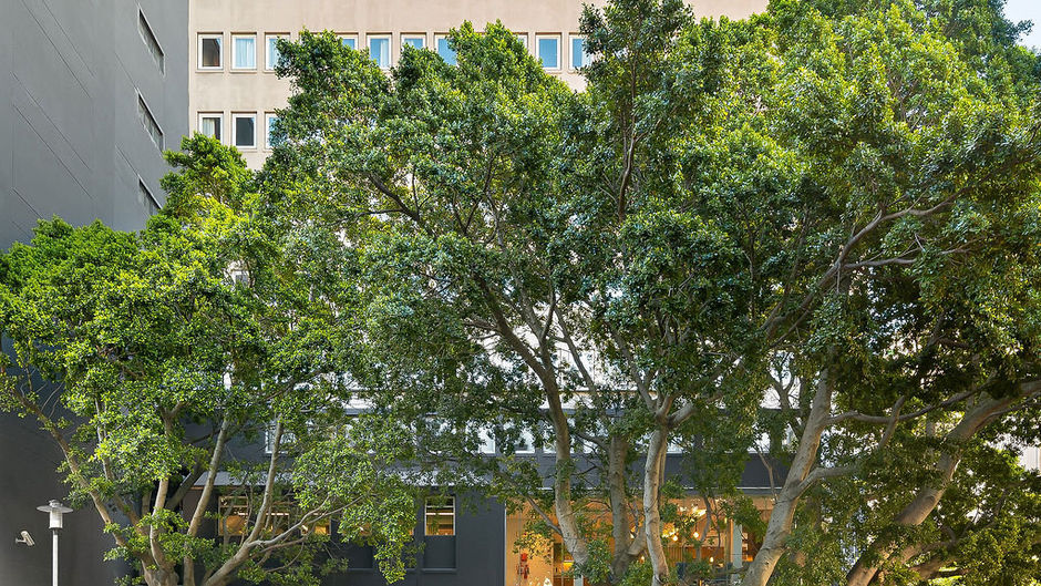 Neighbourgood East City Hotel Exterior