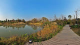 <b>Sheraton Grand Wetland Park Resort Other</b>. Virtual Tours powered by <a href=https://www.travelagewest.com/Hotels/Hangzhou-China/