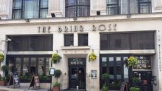 The Briar Rose