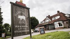 The Hampshire Hog