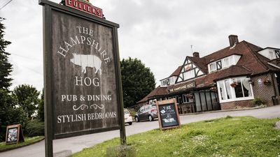 The Hampshire Hog