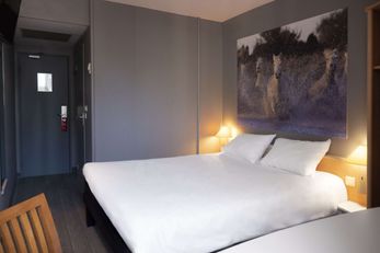 Ibis Arles
