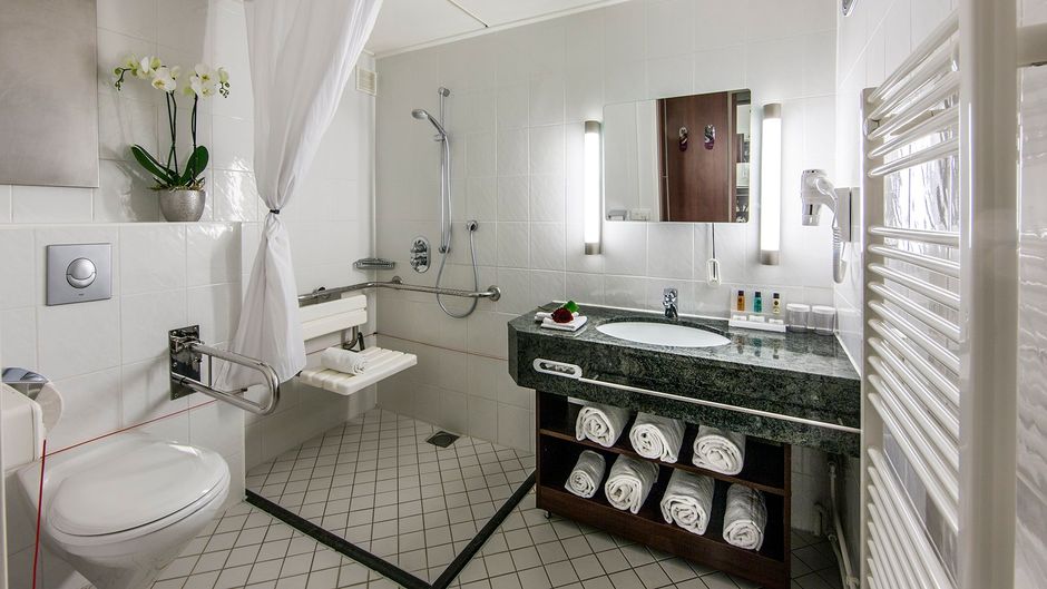 Crowne Plaza Maastricht Room