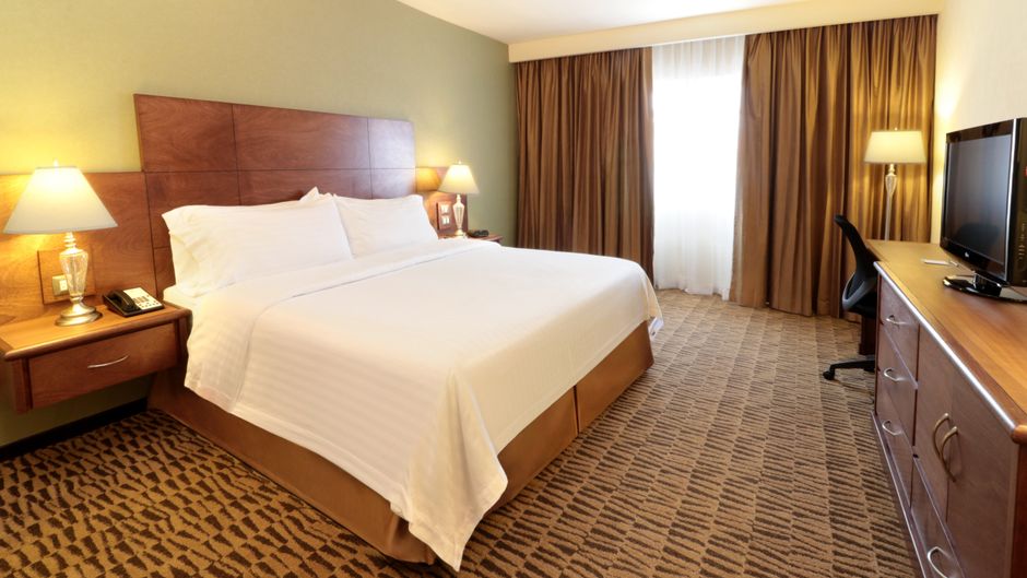 Holiday Inn Monterrey Norte Room