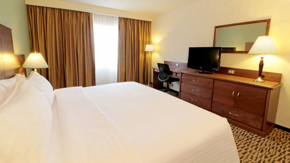 Holiday Inn Monterrey Norte Room