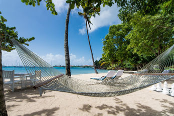 Calabash Grenada