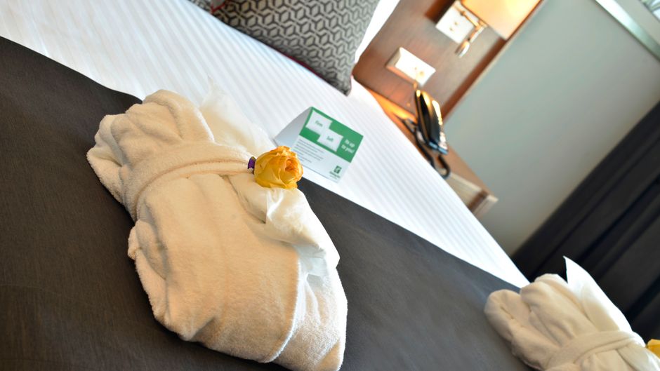 Holiday Inn Bursa City Centre Room