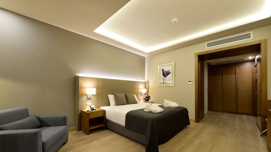 Holiday Inn Bursa City Centre Room