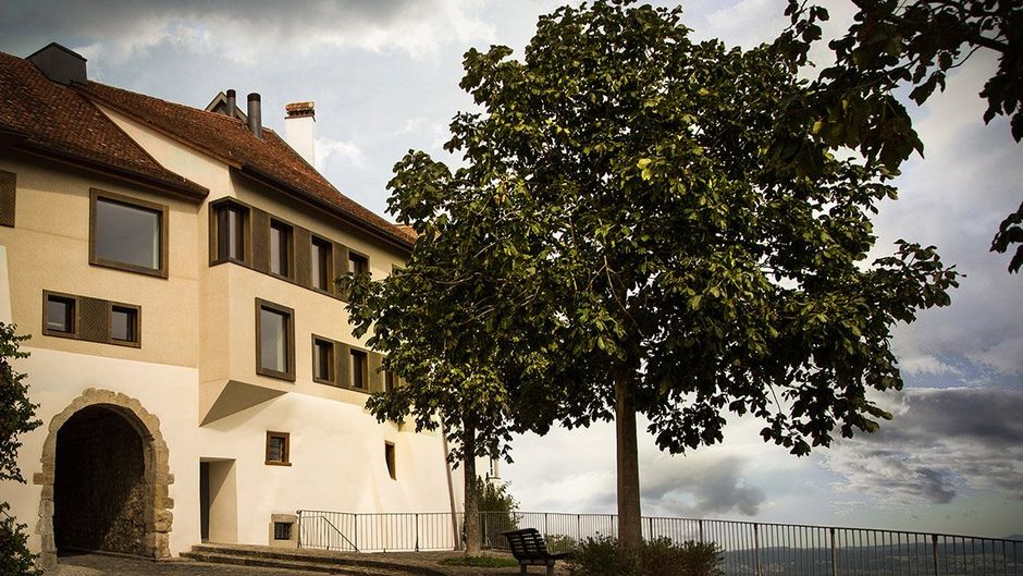 Hotel Krone Regensberg Exterior