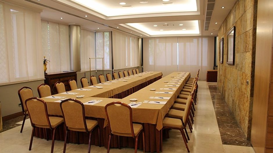Hotel Villamadrid Meeting