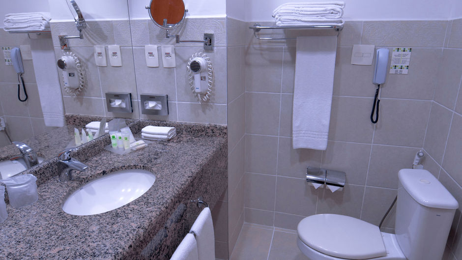 Holiday Inn Manaus Room