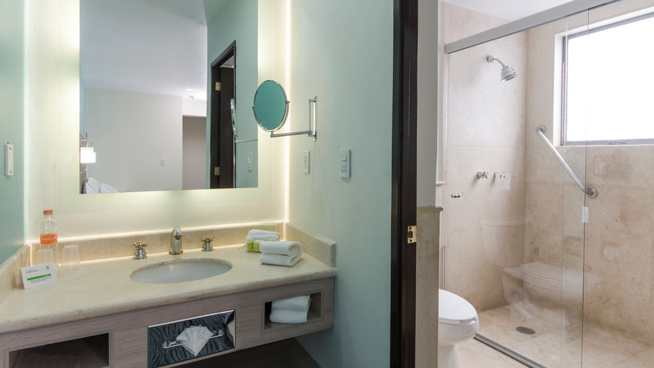 Holiday Inn Hotel & Suites Room