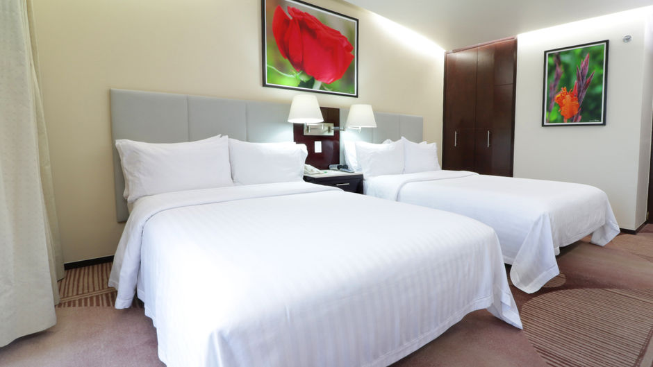 Holiday Inn Hotel & Suites Medica Sur Room